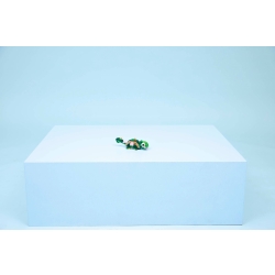 Klocki LEGO 31377 Żółw i Kwiat Lilii Wodnej CREATOR